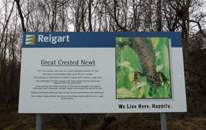 Crested Newt information sign