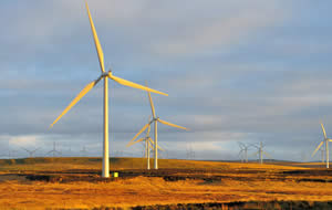 Windfarm